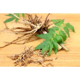 Pure Nutrition Valerian Root (Radacina de valeriana) - 60 Capsule Beneficii Valerian Root- ajuta la somn in mod natural, calmeaz