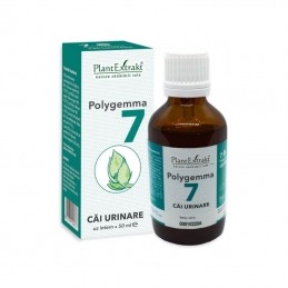 Plant Extrakt POLYGEMMA NR.7 50 ML (pentru caile urinare) Beneficii Polygemma Nr. 7- dezinfectant si antibacterian la nivelul ca