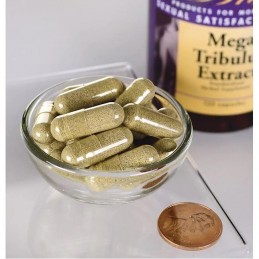 Mega Tribulus Extract 250mg - 120 Capsule, Swanson Beneficii TRIBULUS: creste in mod natural nivelul de tes-tosteron, imbunatate