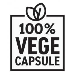Arzator de grasimi vegan, Burner VEGE, 60 Capsule Proprietati si Beneficii OstroVit Fat Burner Vege: produs in capsule HPMC vega
