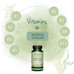 Vegavero Vitamina B Plus + Colina 180 Tablete Vitamina B12 (Metilcobalamina și Adenosilcobalamina), Acid Folic (5-MTHF), Vitamin