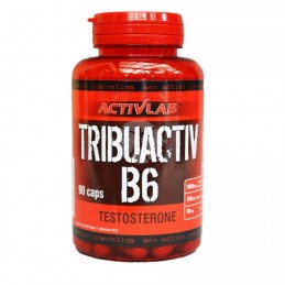 Tribuactiv B6, 580 mg, 90 Capsule (combinatia eficienta de tribulus, magneziu, zinc, vitamina B6, cresterea fortei musculare) BE