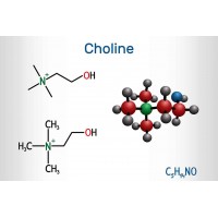 Colina - Choline