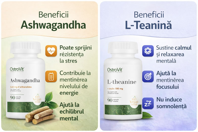 De ce un pachet anti-stress dedicat stilului de viata urban