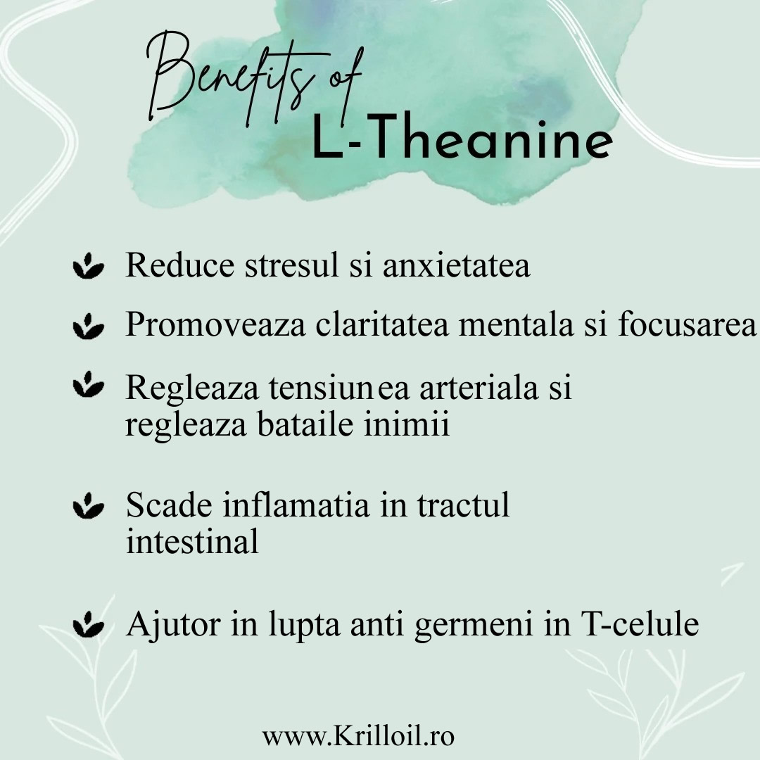 L-Theanine 200mg + Inulina100 mg beneficii