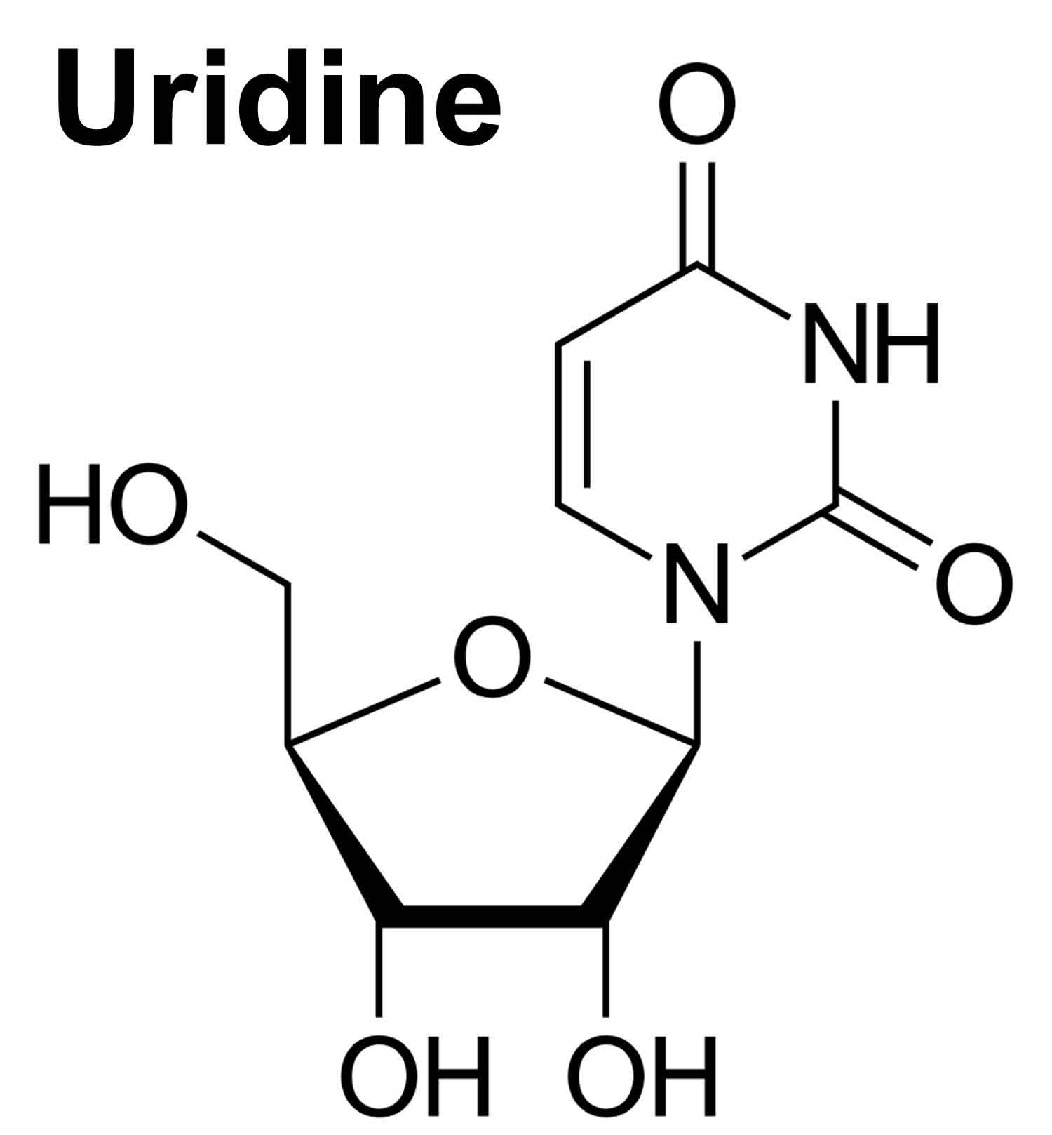 Uridina beneficii efecte contraindicatii prospect doze supliment neurotransmitator