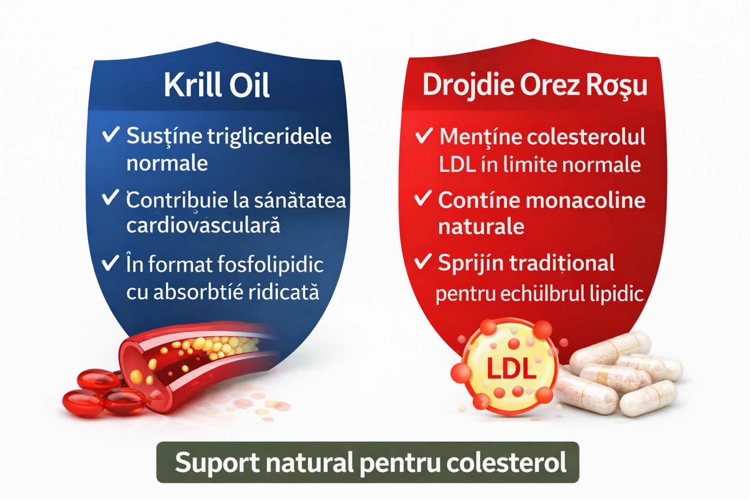 Colesterol Mare Drojdie de Orez Rosu si Krill Oil – Strategie Naturala pentru Echilibru Lipidic